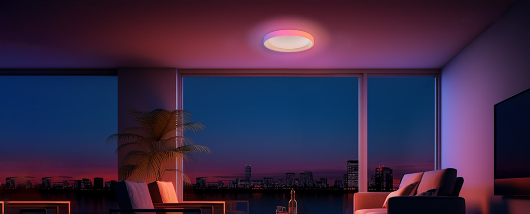 Smart Ceiling Lights