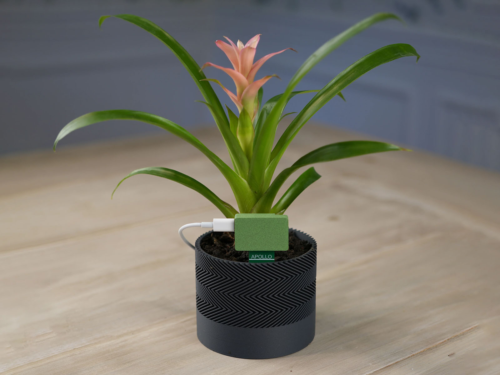 Apollo Automation PLT-1 Works with Homey
